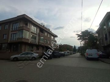Düzce, Düzce ili, Düzce ili, Karadeniz Bölgesi