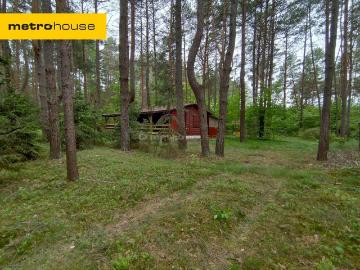 Działka z domkiem nad Narwią, rekreacja i spokój