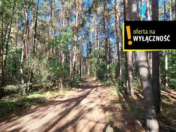 Suków, Gmina Daleszyce, Gmina Daleszyce, Powiat kielecki, Województwo świętokrzyskie