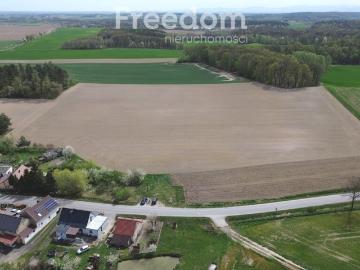 Strzegów, Gmina Grodków, Gmina Grodków, Powiat brzeski, Województwo opolskie, Województwo opolskie