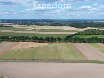 Gmina Skarbimierz, Powiat brzeski, Województwo opolskie, Województwo opolskie