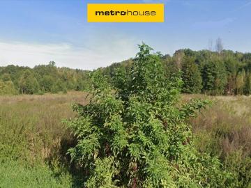 Nałęczów, Powiat puławski, Województwo lubelskie