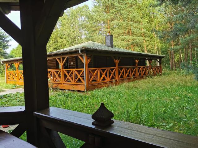 Sprzedam działkę 3003 m² z domkiem letniskowym i infrastrukturą