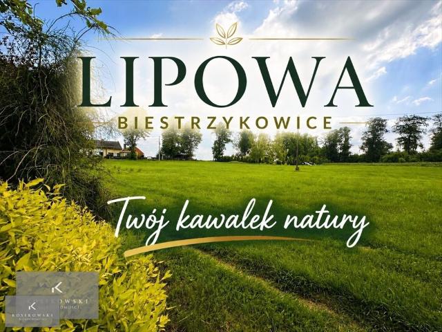 Działka 8 200 m² z domem i budynkami do remontu Namysłów