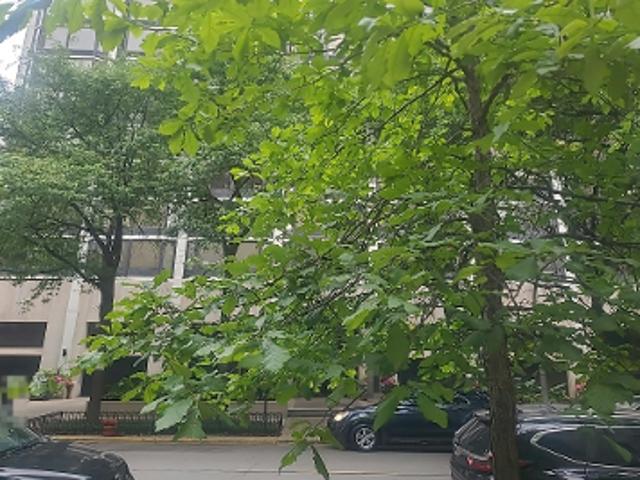 E Bellevue Pl Apt 1603