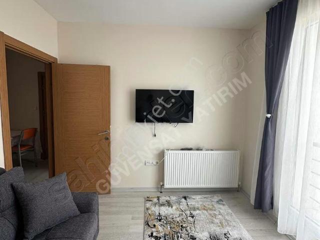 Eşyaları Sıfır Dizili Boyalı Daire