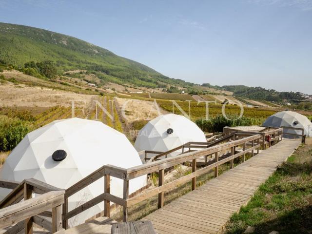 Eco Lodge Sustentável na Região Oeste de Portugal, 50 minuto. 617m² Alenquer Santo Estêvão e Triana
