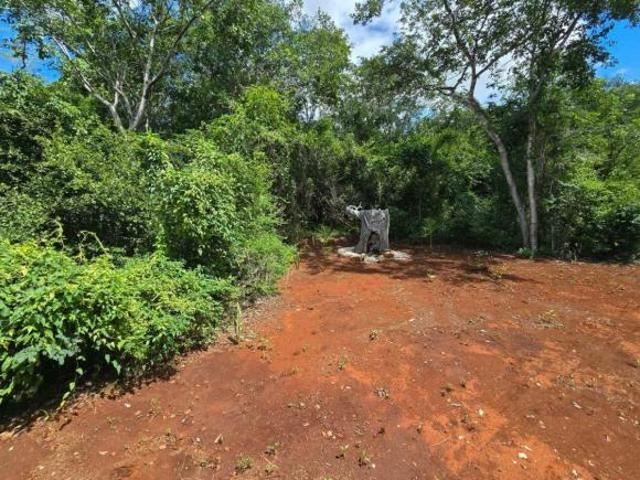ECO RESORT FOR SALE — A UNIQUE OPPORTUNITY IN THE HEART OF YUCATÁN’S CENOTE REGION $11,900,000 MXN