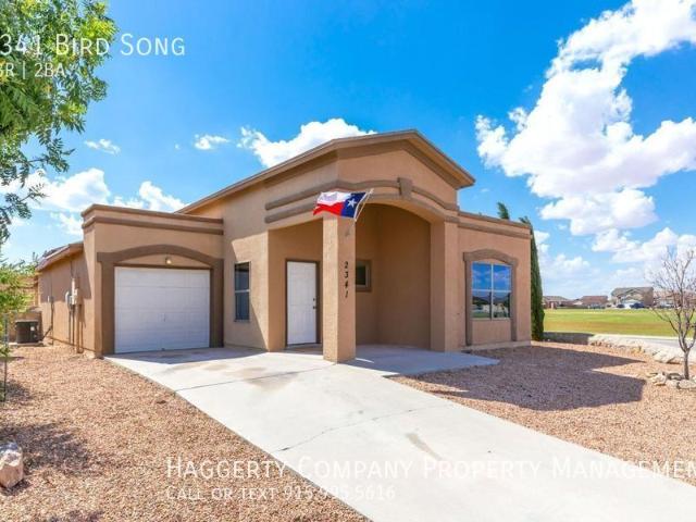 East El Paso 3 bed Refrig A/C next to Park!