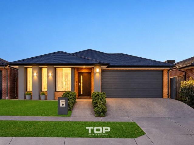 East Facing Family Home with Modern Comfort & Style