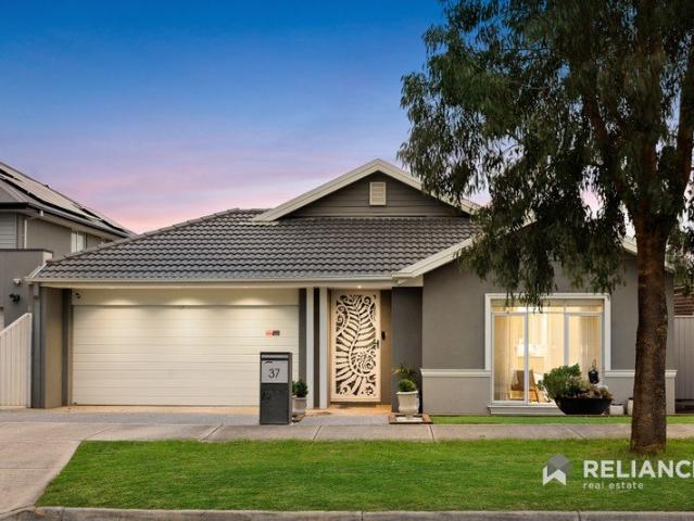 Porter Davis Luxury | Hampton Elegance in the Alamanda School Zone | East Facing