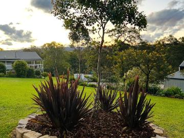 East Kurrajong, Colo Heights