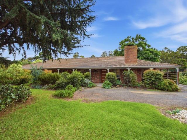 Spacious East Sale living on 1125 sqm