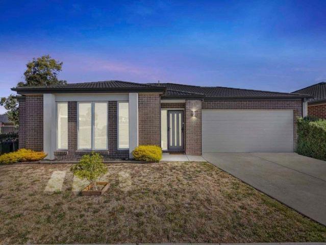 Easy, Modern Living in the Heart of Alfredton