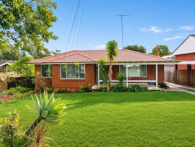Easy Family Living | 727sqm Block | Matthew Pearce Catchment