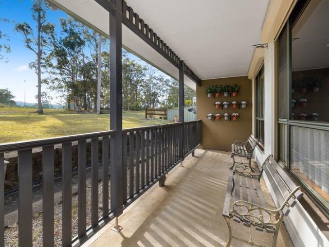 Easy Living With a Leafy Outlook