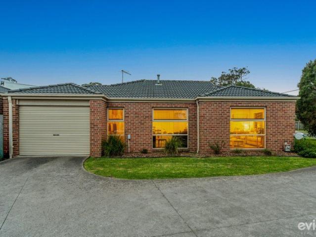 Easy Living in the Heart of Bittern