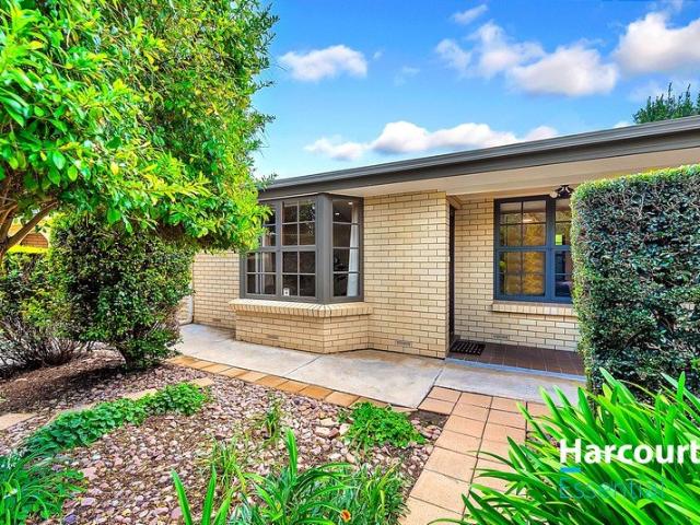 Easy Living in the Heart of Hope Valley