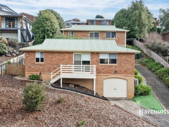 Easy Living in Popular Romaine