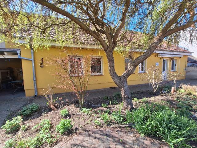 Ebenerdiges Wohnen in Bestlage – moderner Bungalow mit viel Platz!