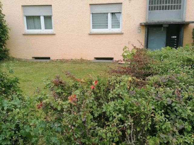 EG Wohnung mit Balkon und Garten
