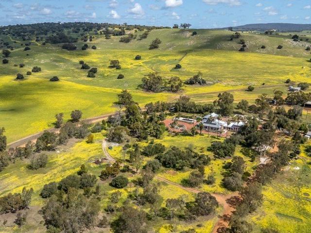 'EGOLINE HOMESTEAD'