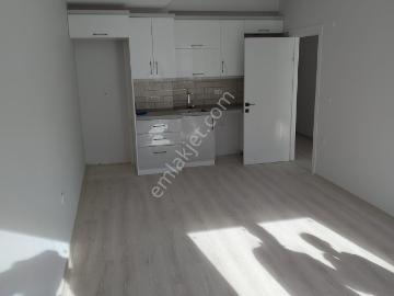 Aydın, Ege Bölgesi, Aydın ili, Ege Bölgesi