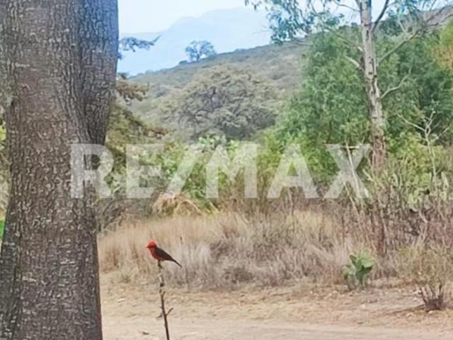 EGH _ SE VENDE TERRENO RECIDENCIAL & COUNTRY CLUB HGO