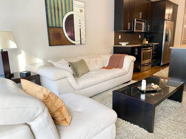 Edmonton Furnished Condo Rental in Oliver Bright And Modern Condo In Great Central Location!