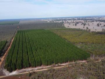 Land to rent in Victoria