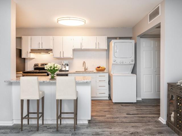 Edge @ NoDa Apartments 1 Bedroom Apartment for Rent at 229 Hilo Drive, Charlotte, NC 28206 Sugaw Creek