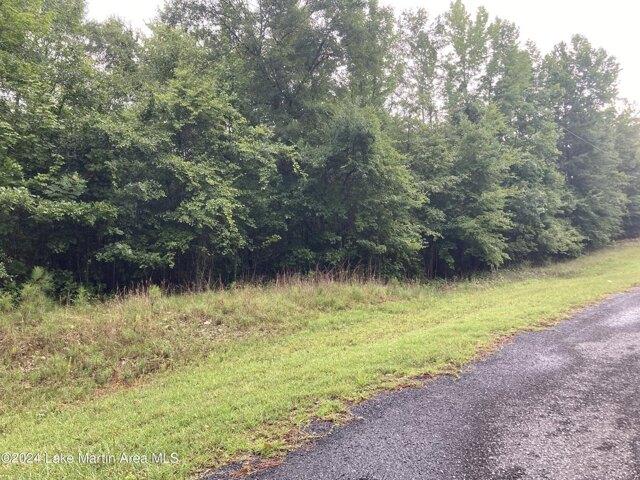 Edgeview Dr, Dadeville, Plot For Sale