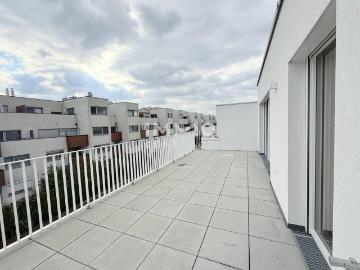 Apartment for sale in 1210 - Terrasse, Parkplatz