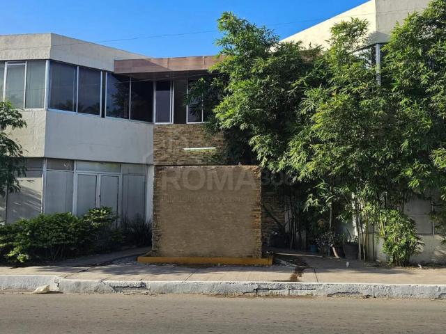 Edificio en Renta