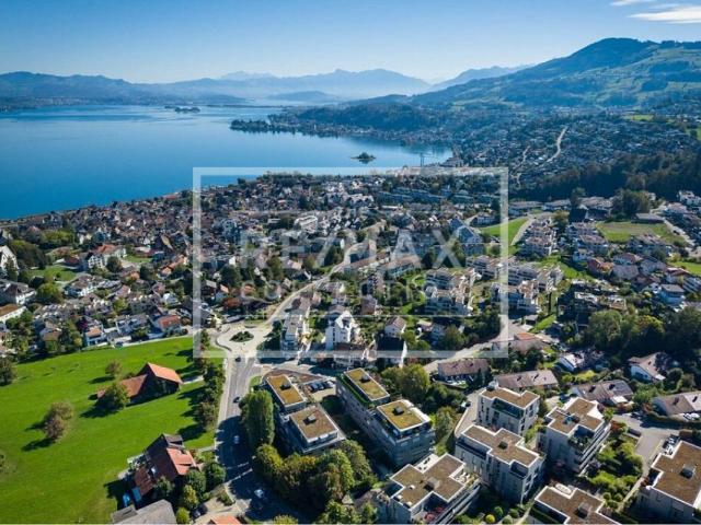 Edle 4.5 Zimmer Wohnung in Richterswil zu kaufen! Exklusives Wohnen im Industrial Style