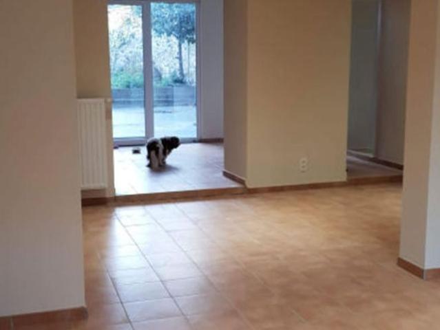 Eengezinswoning te huur in Péruwelz voor € 885 met 4 slaapkamers