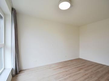 8870, Roeselare, Roulers, Flandre-Occidentale, Flandre