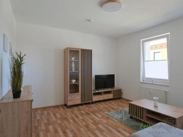 EF1220_M Halle: Trotha, Erstbezug in neu möblierte 3 Zimmer Wohnung, Garten am Haus, Waschmaschine
