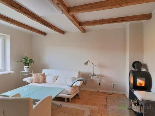 EF1234_M Dresden: Kleinzschachwitz, neu möblierte Komfortwohnung mit Kamin und Balkon und Veranda nahe dem Elbufer