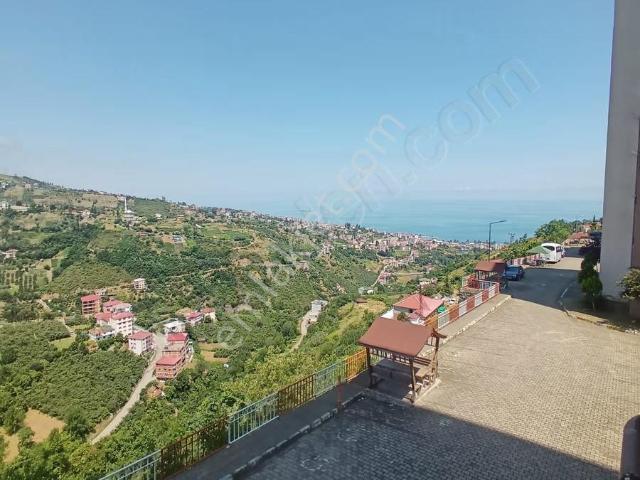 Efe Gayrimenkulden Sarıtaş Yeni Tokide Kiralık 2+1 Daire