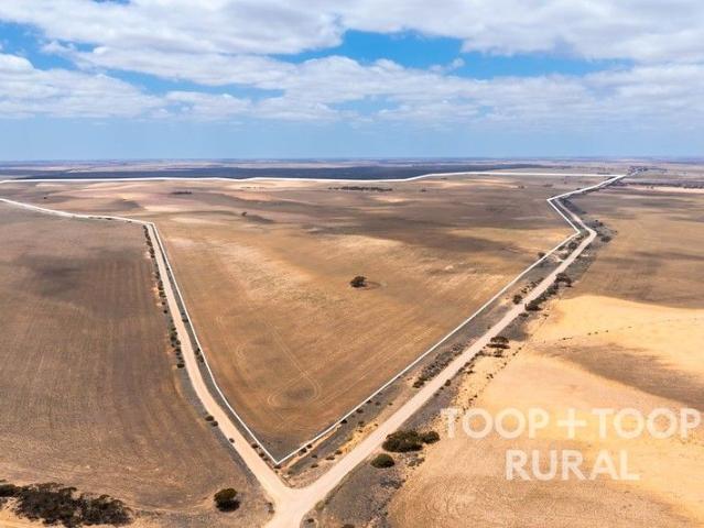 Efficient Mallee Cropping