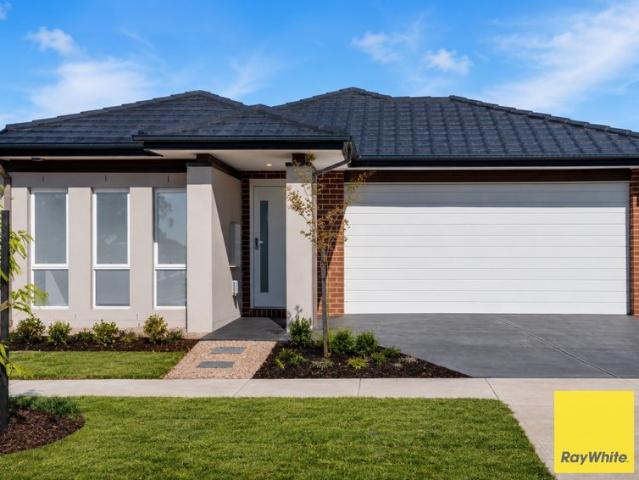Effortless Family Living in Sought After Pocket