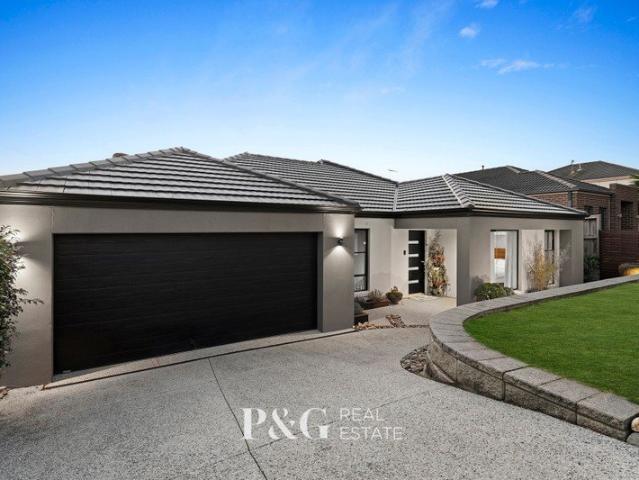 Effortless Family Living with an Entertainer's Edge