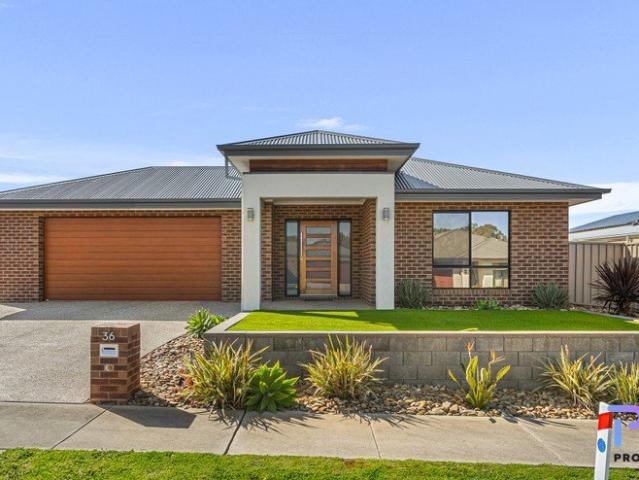 EFFORTLESS LIVING SPACE, LIGHT & FAMILY LIVING
