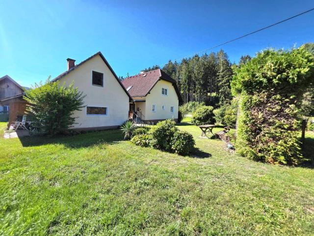 EFH mit Nebengebäude und 3.900m² großem Grundstück zu verkaufen!