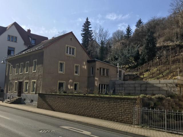 EFH mit Weinberg und Burgblick