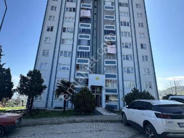 Fatsa, Ordu'da kiralık Daire - Panorami̇k manzara