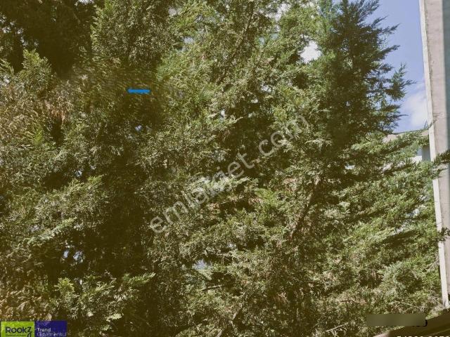 Çekmeköy Çamlık Mahallesi'nde Eşyalı 2+1 Kiralık Daire