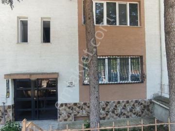 Eker Den Gökmeydan'da Turgutreis Meslek Lisesi Karşısı Kiralık
