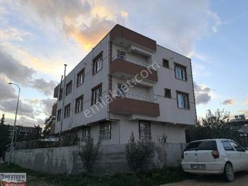 Antakya, Hatay, Akdeniz Bölgesi - Televizyon